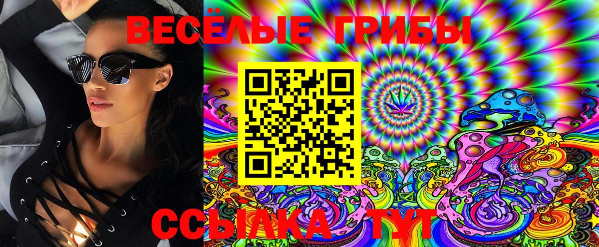 Галлюциногенные грибы MAGIC MUSHROOMS  Вход с VPN  Алушта 