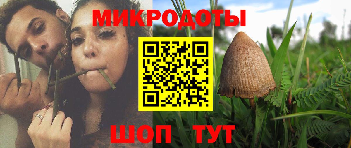 Псилоцибиновые грибы мицелий Алушта